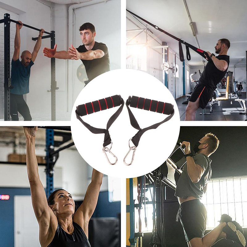 1Set D-Ring Metal Gym Handles  - D Ring Strap 评论和价格